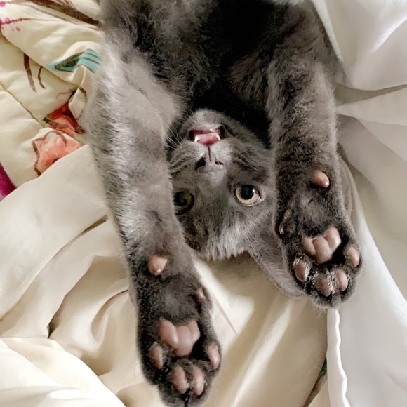 EVERYTHING MUST GO - Picture 2 of 2